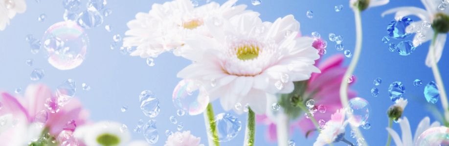 Imahbambu Cover Image